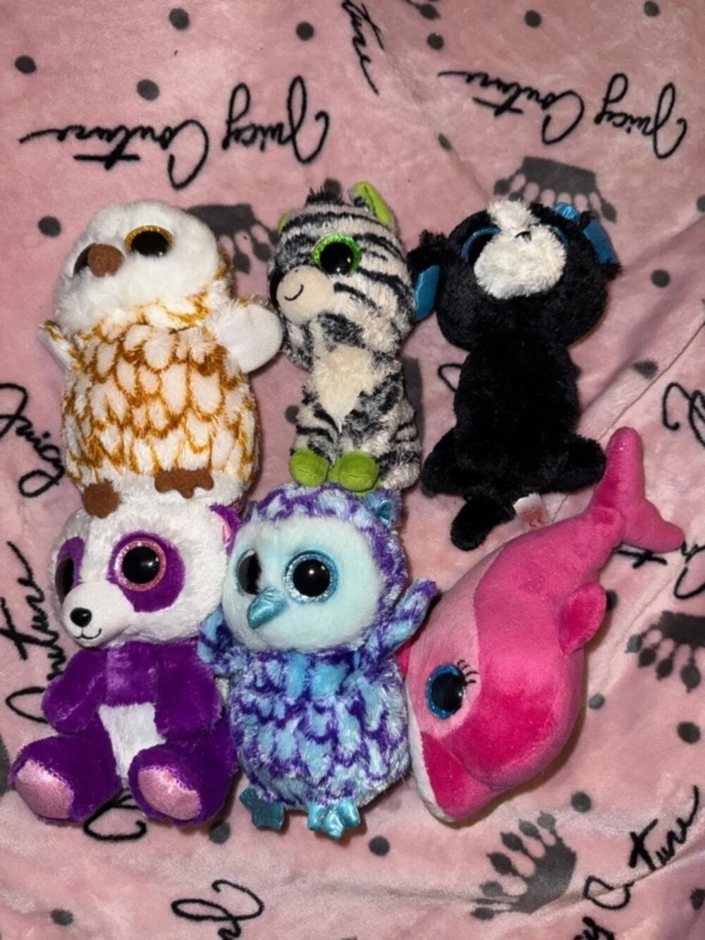 Ty Beanie Boo Collector's Plush Bundle 6" Set of 6 - Picture 3 of 8